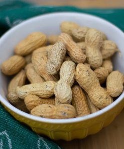 Edible Nuts